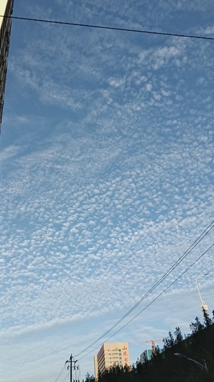 秋天来了，天上白云一团，全部给他抓下来撕成一块块的，像饺子，像鱼鳞像珍珠。[允悲