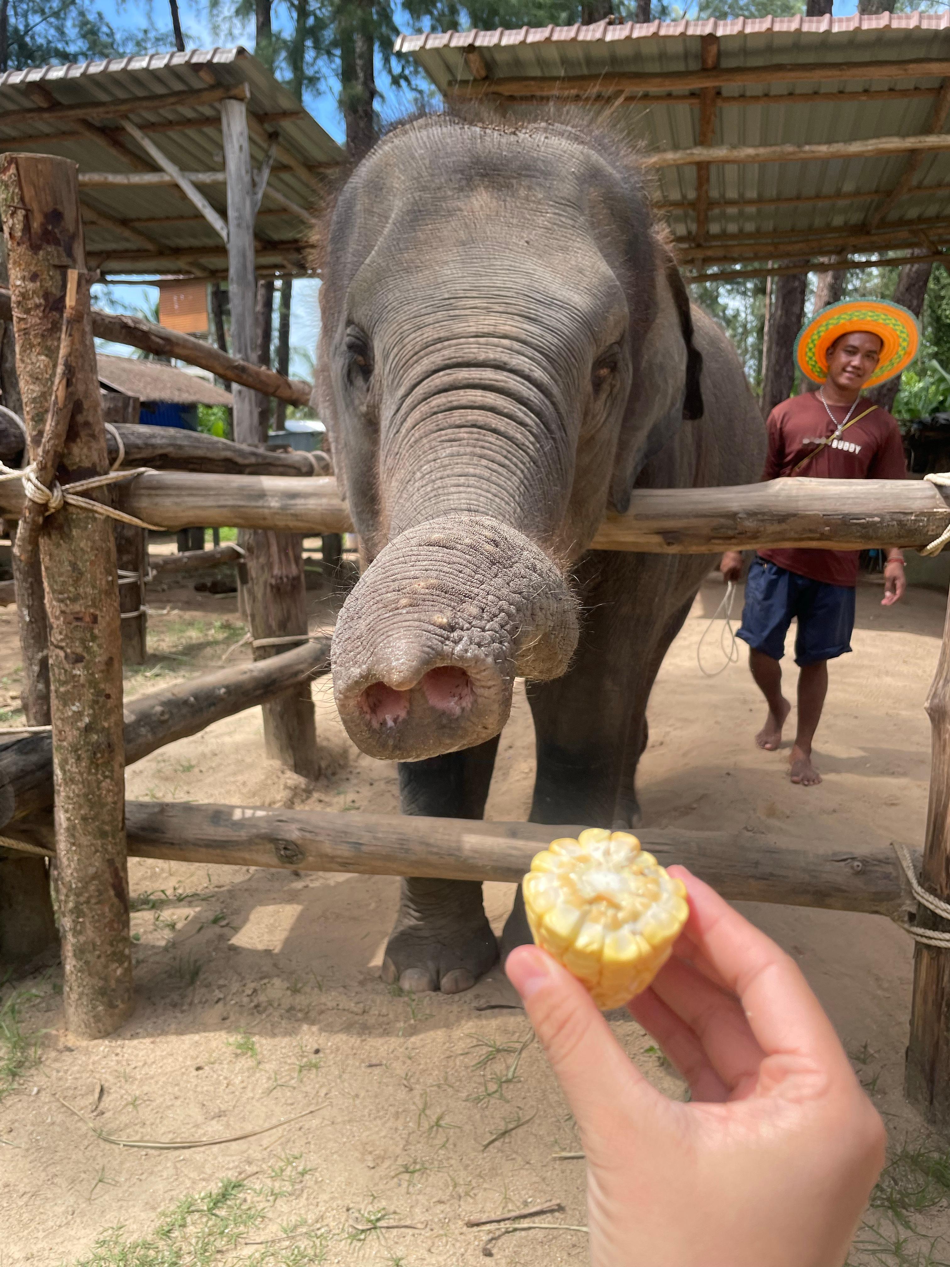 9月对我好一点🐘 ​​​