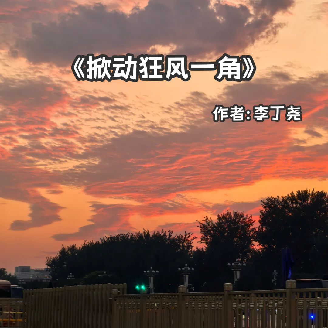 宅家小说｜婚后文《掀动狂风一角》