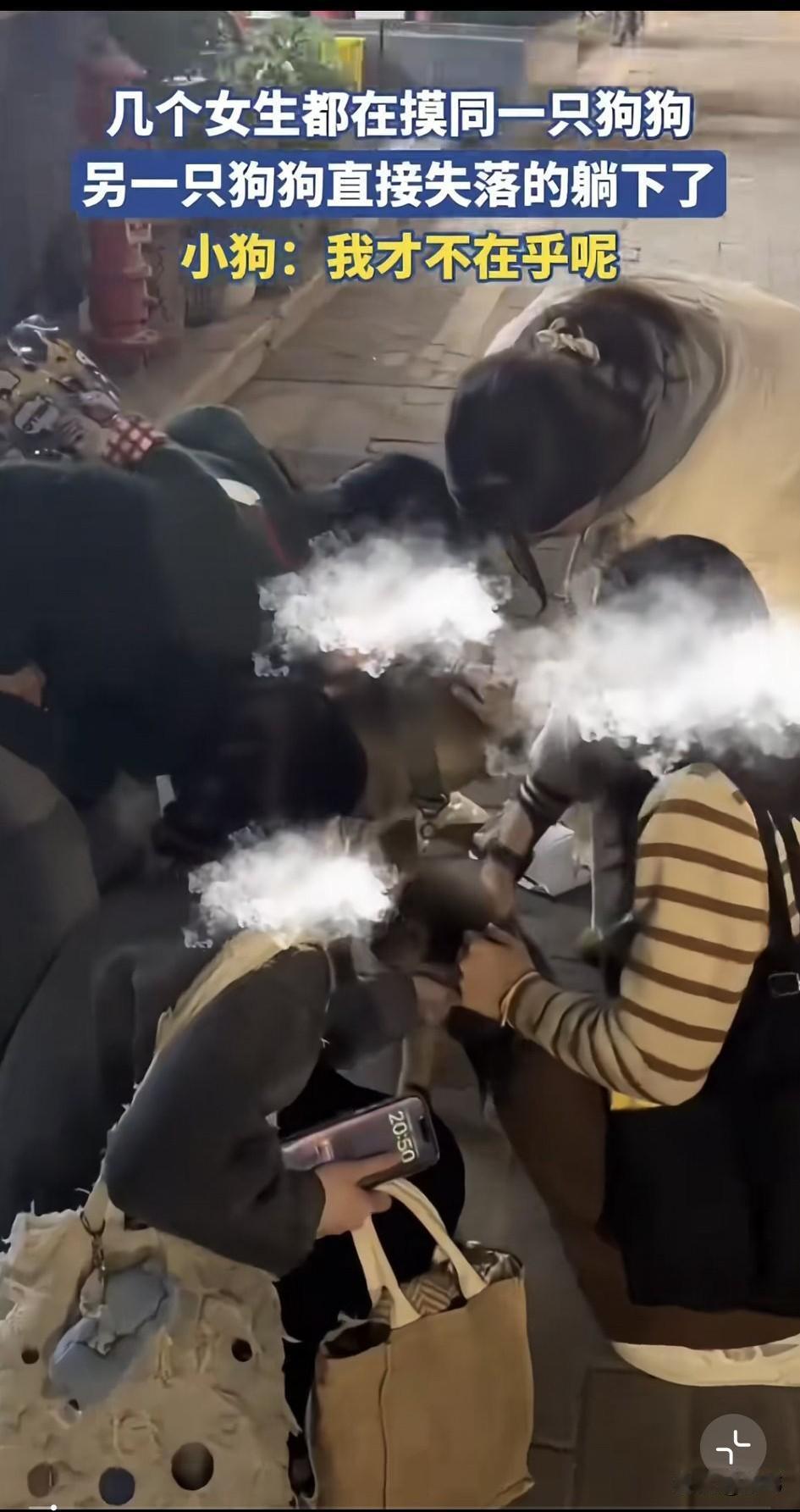 太可怜了！这心理落差真的好大，这天夜里一群女生去逛街，当她们走到一条小路上的时候