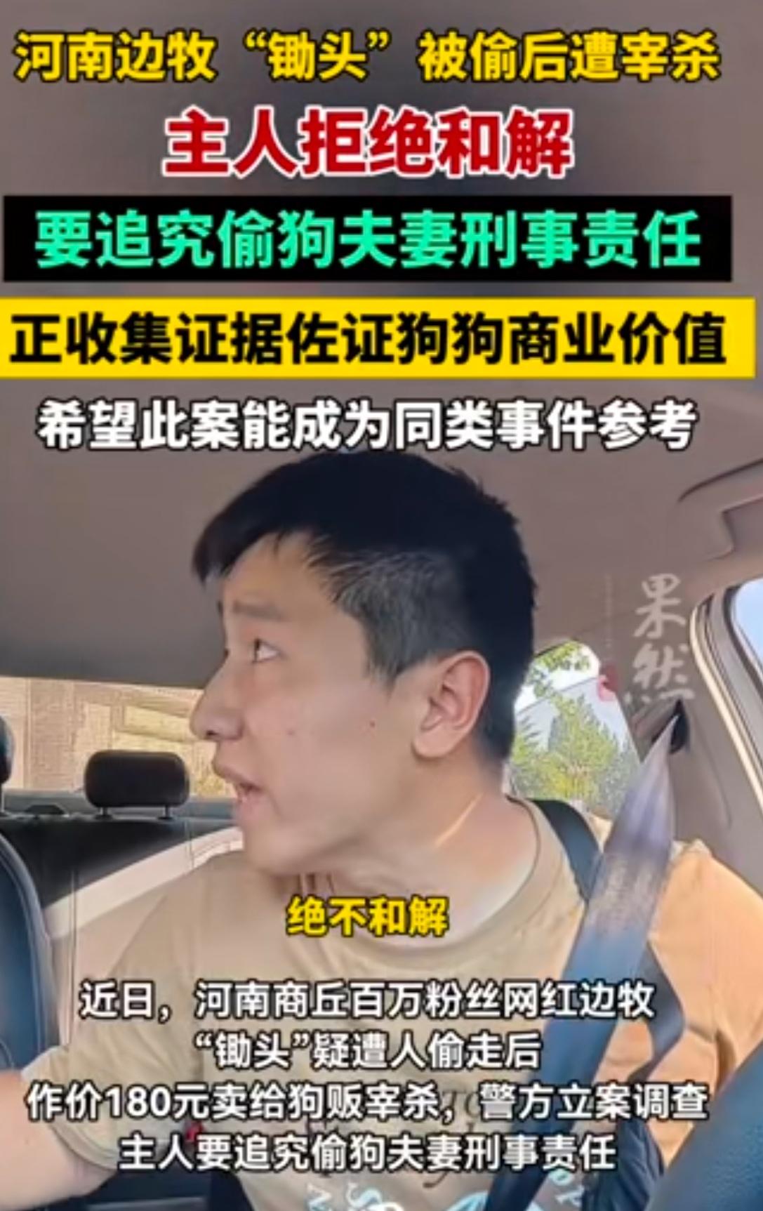河南“边牧”失主硬刚偷狗“夫妻档”，坚称绝不和解，要追究刑事责任！虽然不算是爱狗