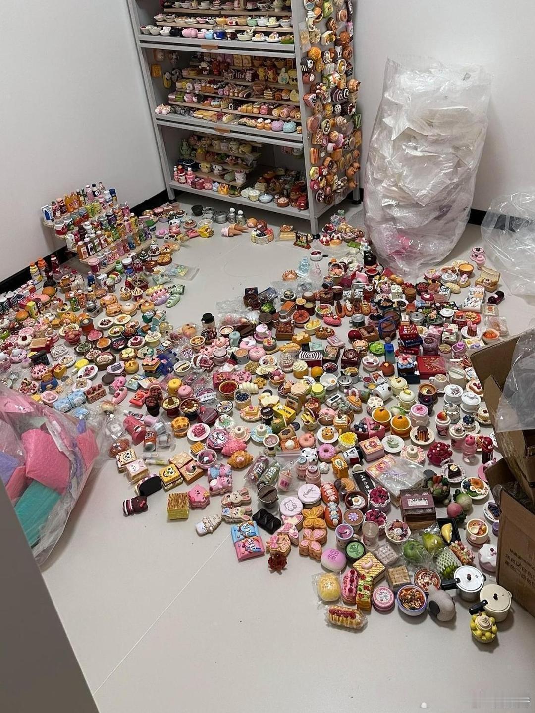 这是租客退房后留下的，说押金不要了让我处理，直接看懵了这是什么啊？ 