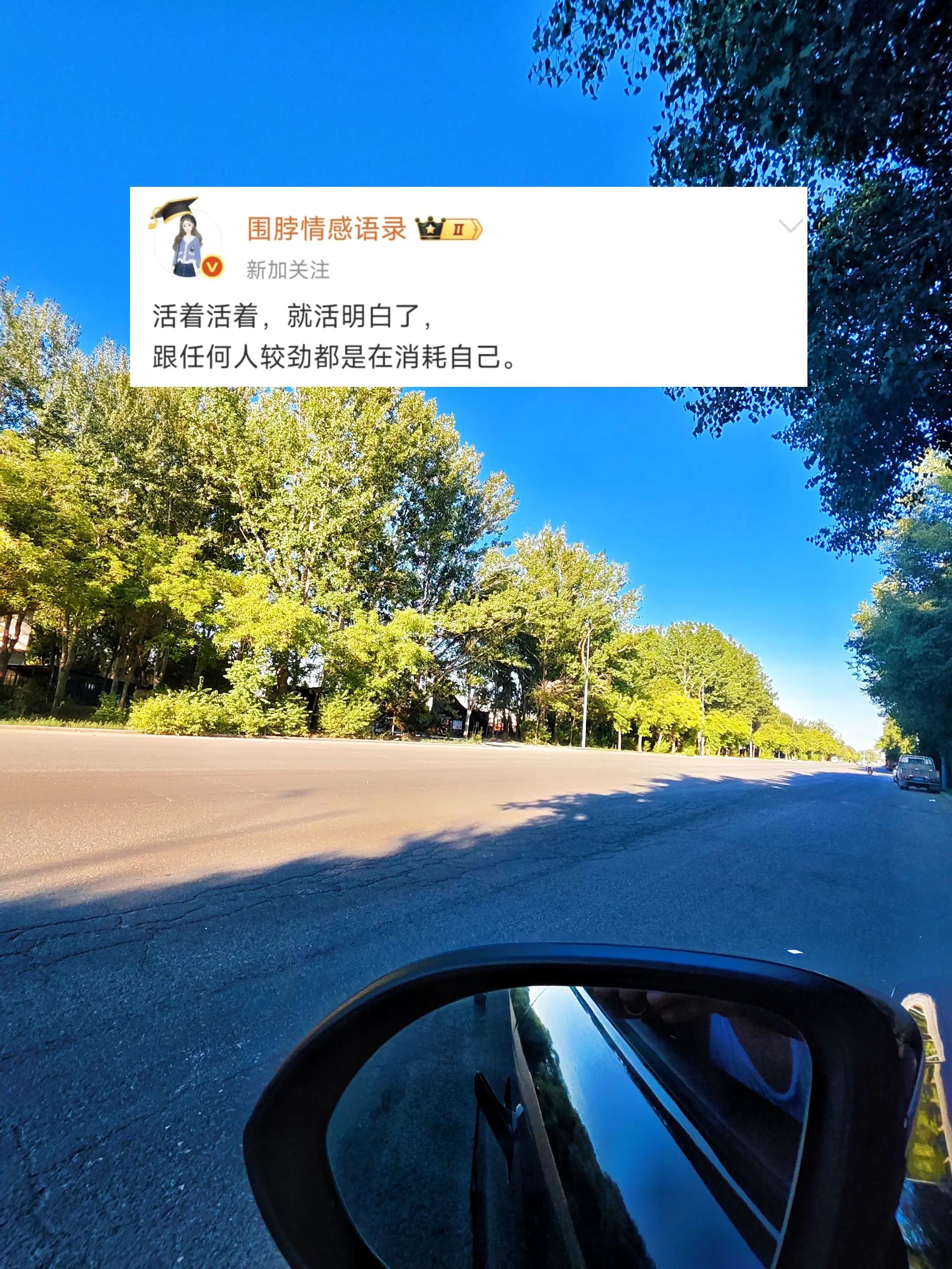活着活着，就活明白了， 跟任何人较劲都是在消耗自己。 ☀️ ☀️风与自由