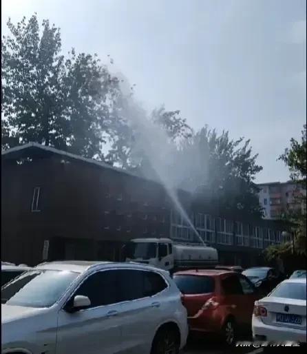 近日，河北邯郸市街头出现一种怪象，洒水车给街道两旁的大树枝头上喷洒水。

之前见