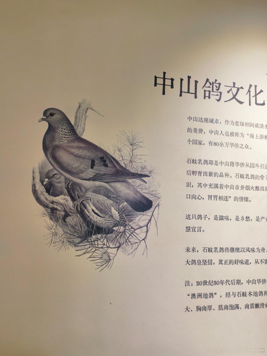 美食中山 去成大鸽皇不一定要吃🕊，咸香鸡和炸九吐鱼、大煎堆都很好吃[吃瓜] ​