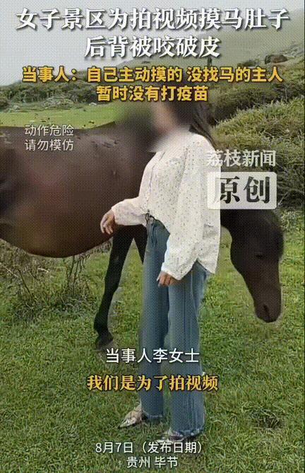 “这是明事理的人！”贵州毕节，女子在景区大草原上，想靠近马拍摄视频手不自觉摸了一