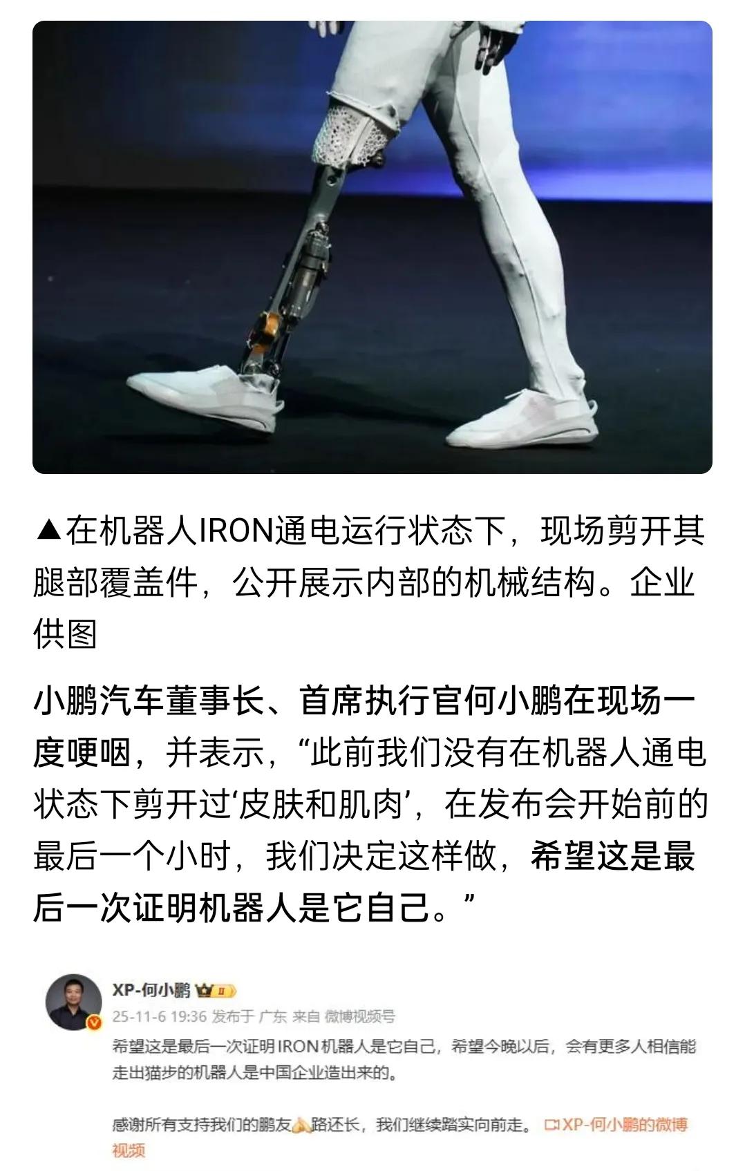 何小鹏好学不学，学雷总？机器人这事一看就是营销，玩砸了何总，在我们这种多少懂点门