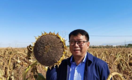 我国工程界大乌龙事件！2009年，重庆大学教授易志坚在研究物质力学时，意外发现了