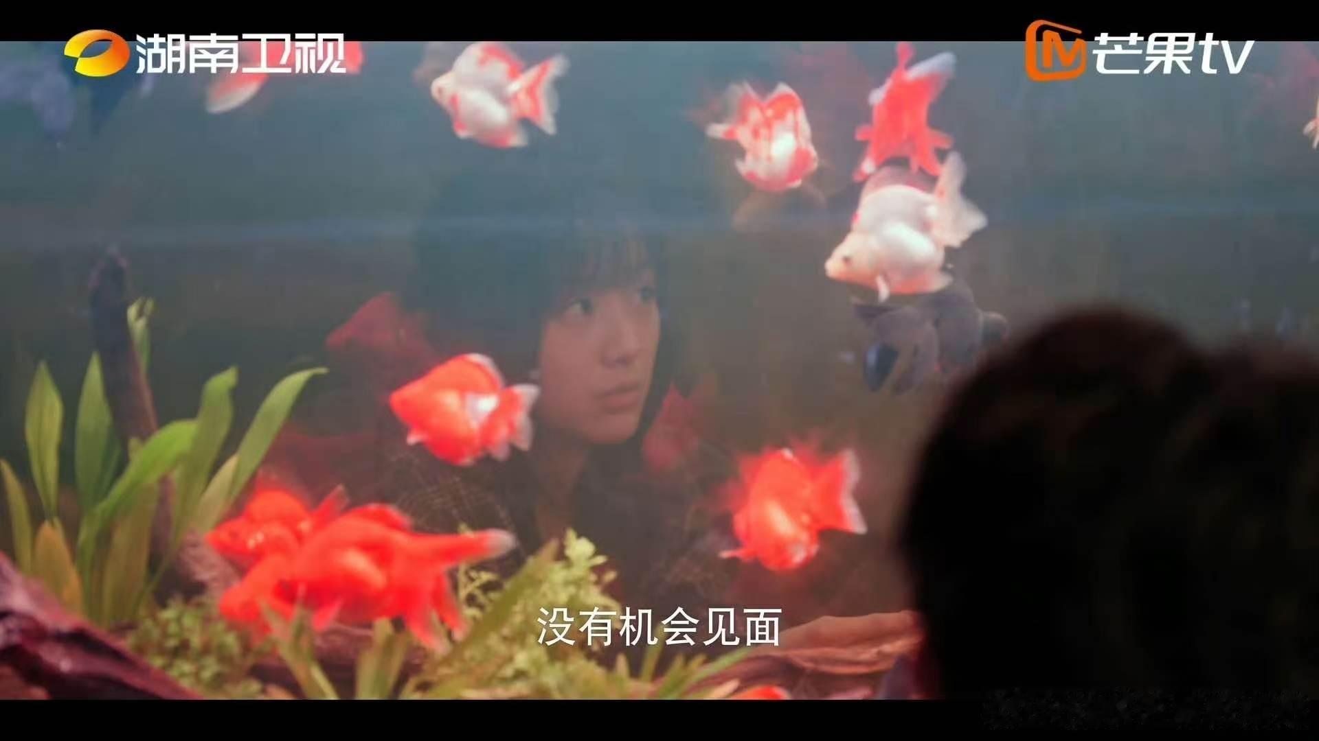 包上恩周柯宇蝴蝶结比心共创周柯宇蝴蝶节快乐被包上恩周柯宇狠狠打动，一句蝴蝶节配上