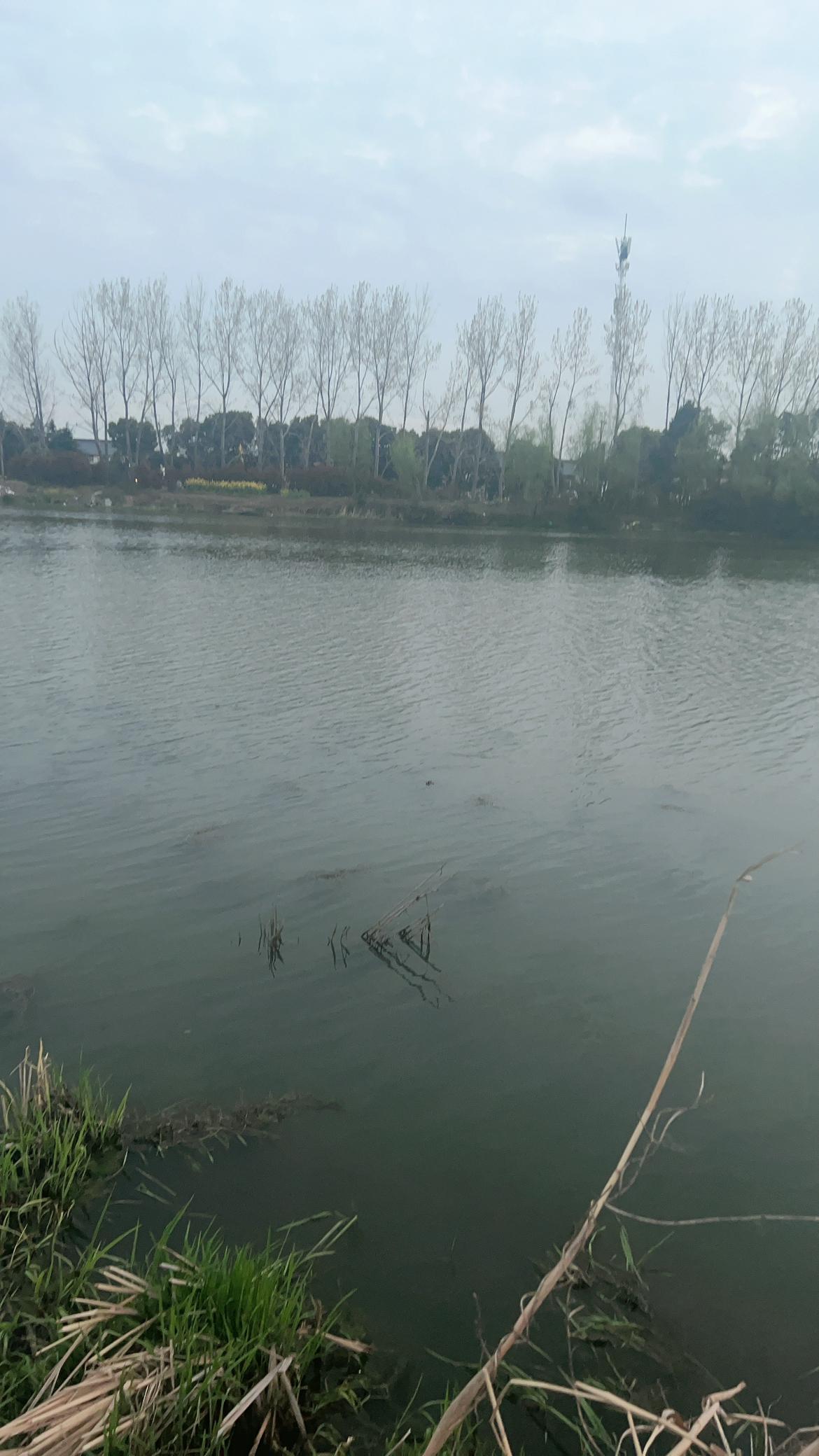 我的今日状态：😁轻松愉快
我这里的天气：☀️晴天