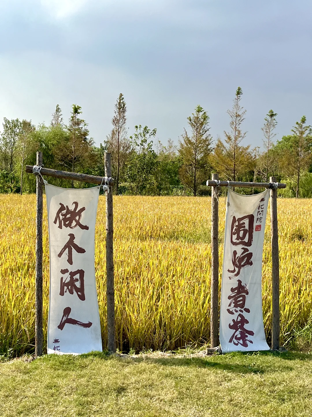 上海新晋打卡地……免费！！！