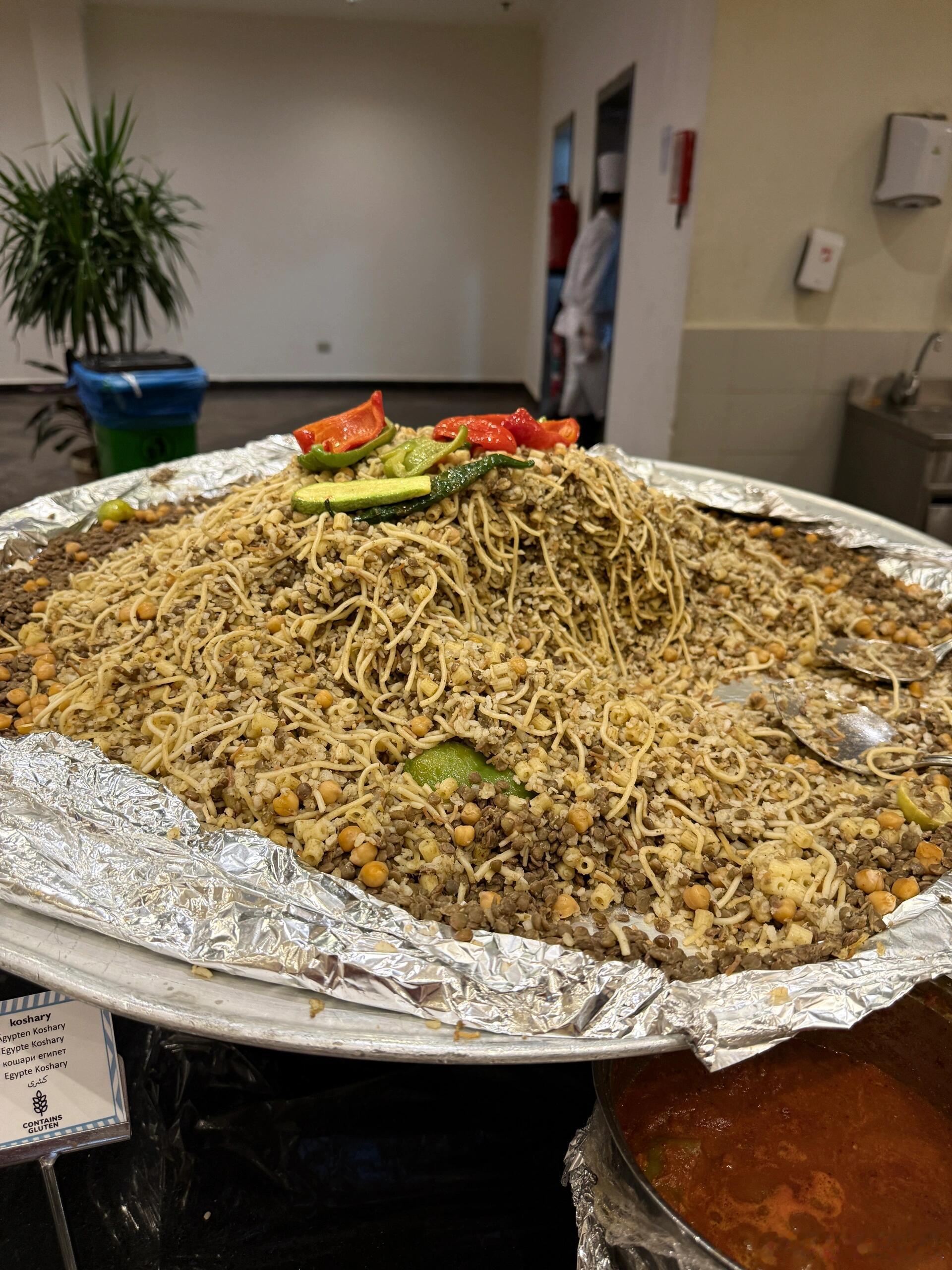 到底怎么做出来这么没有食欲的吃的的！埃及的饭让人两眼一黑 ​​​