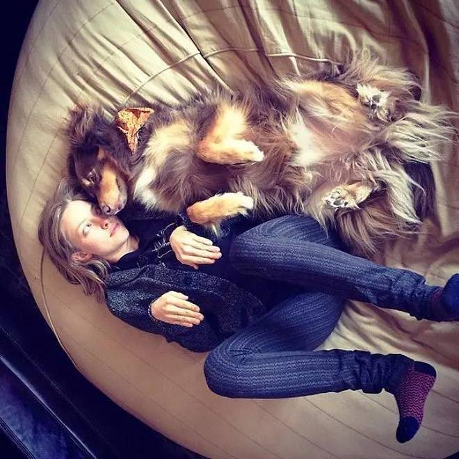 《宠物之叹》

枫林红叶

犬作儿郎猫作珍，

主宾颠倒乱人伦。

世间多少真情