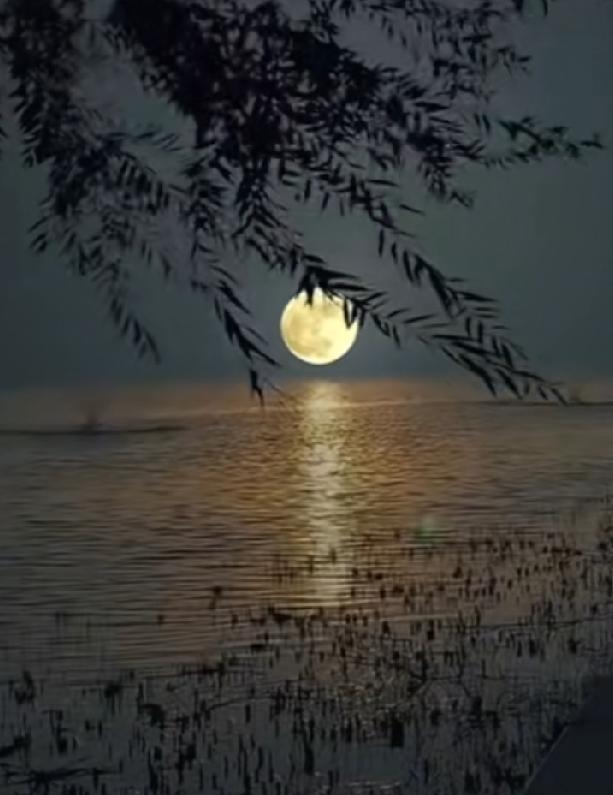 听着外面哗哗的下雨声，感觉有点夜不能寐啊，几分秋雨几分凉，中秋假刚刚结束国庆长假