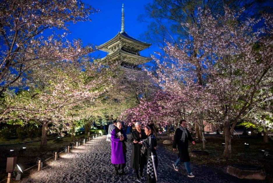 中国游客骤降重创日本！京都酒店价格大跳水 经济损失或达1.79万亿日元
 
新闻