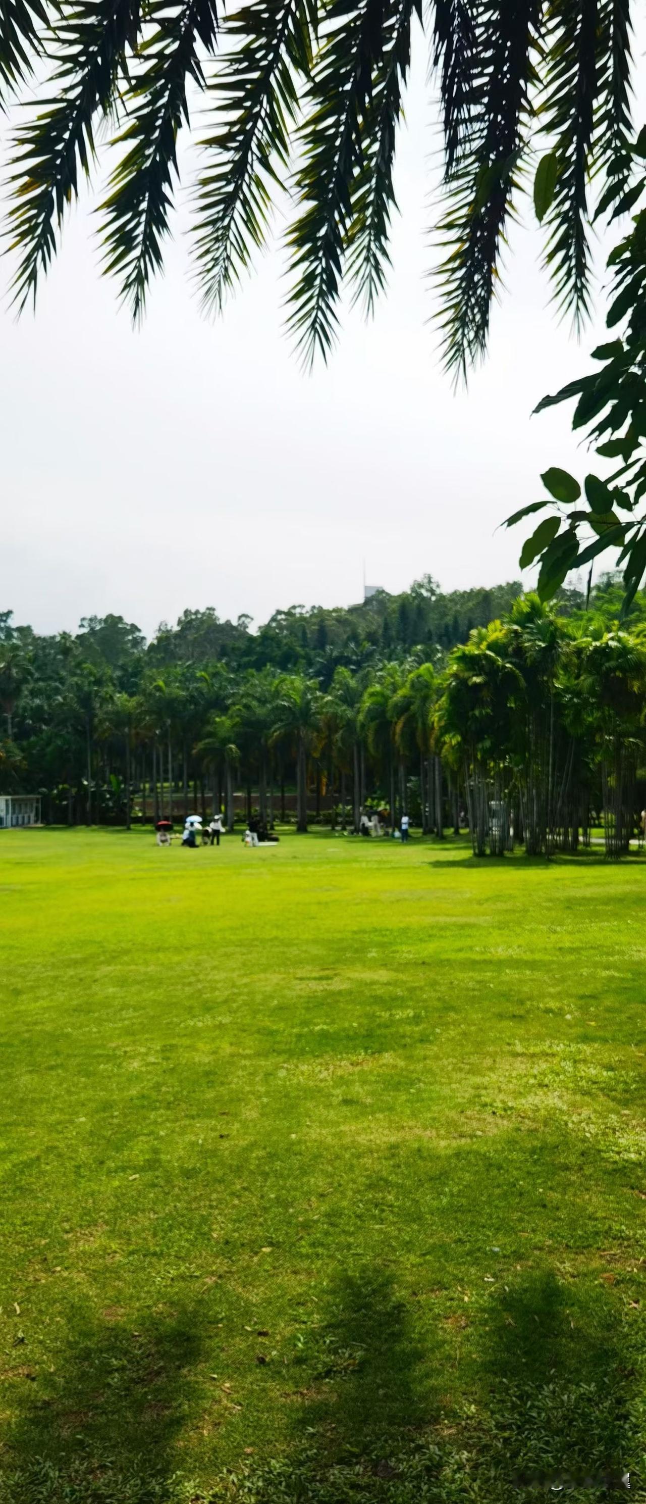 【小对联】
上：金殿；
下：……？