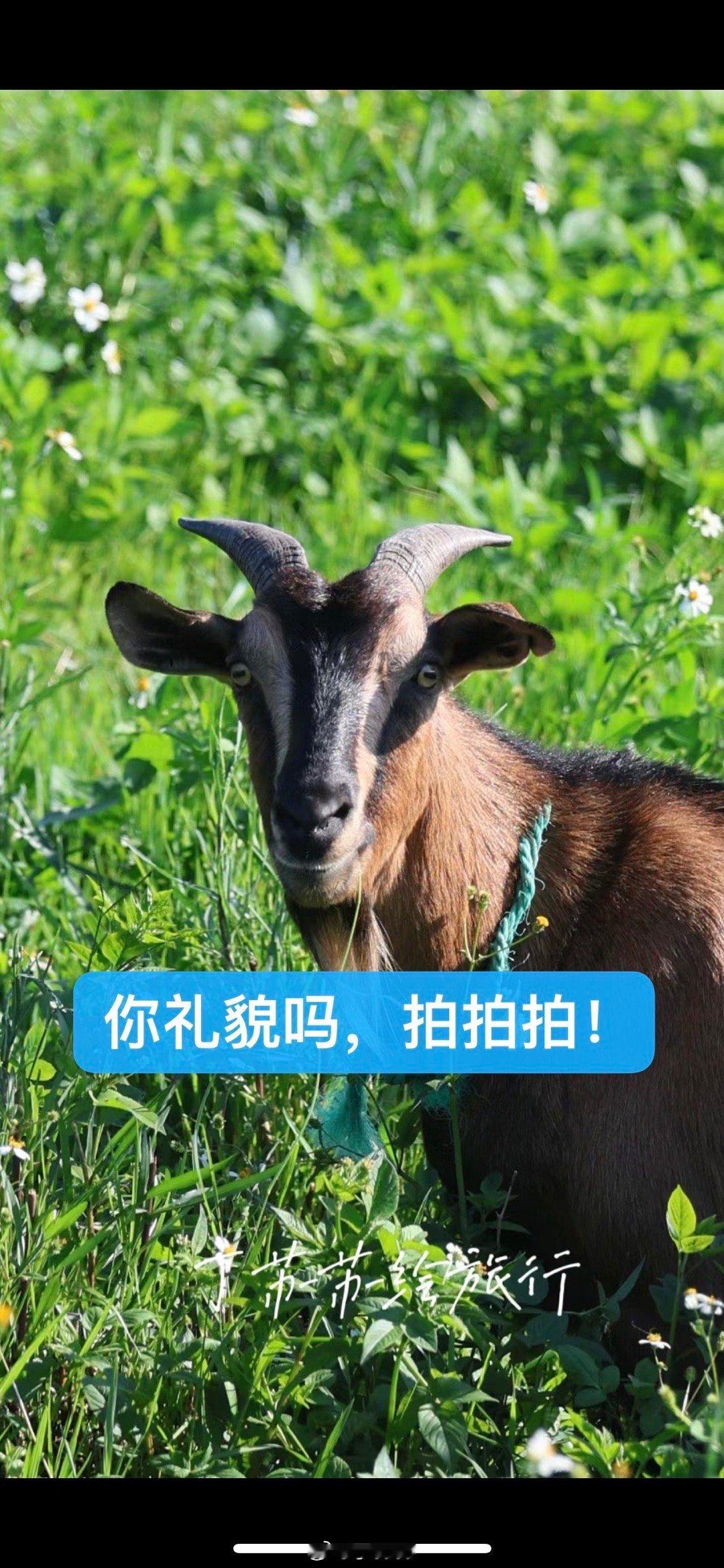 我们的无数话，写的删写了又删，最后的最后只剩下一张照片、一个表情、一个点赞。人和