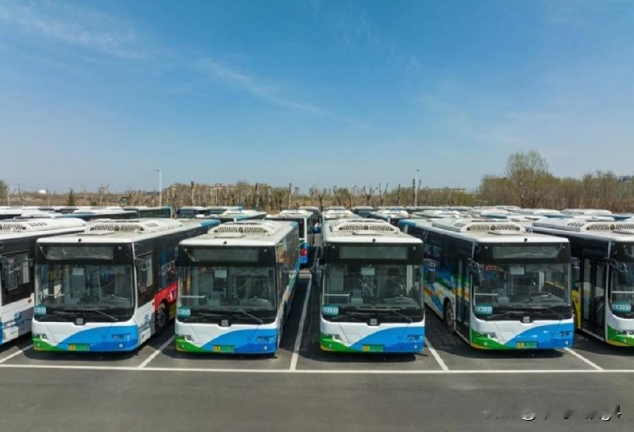 沈阳的新公交，8.5米的小车，看来是趋势了

今年好多线路都换新车了，比如333