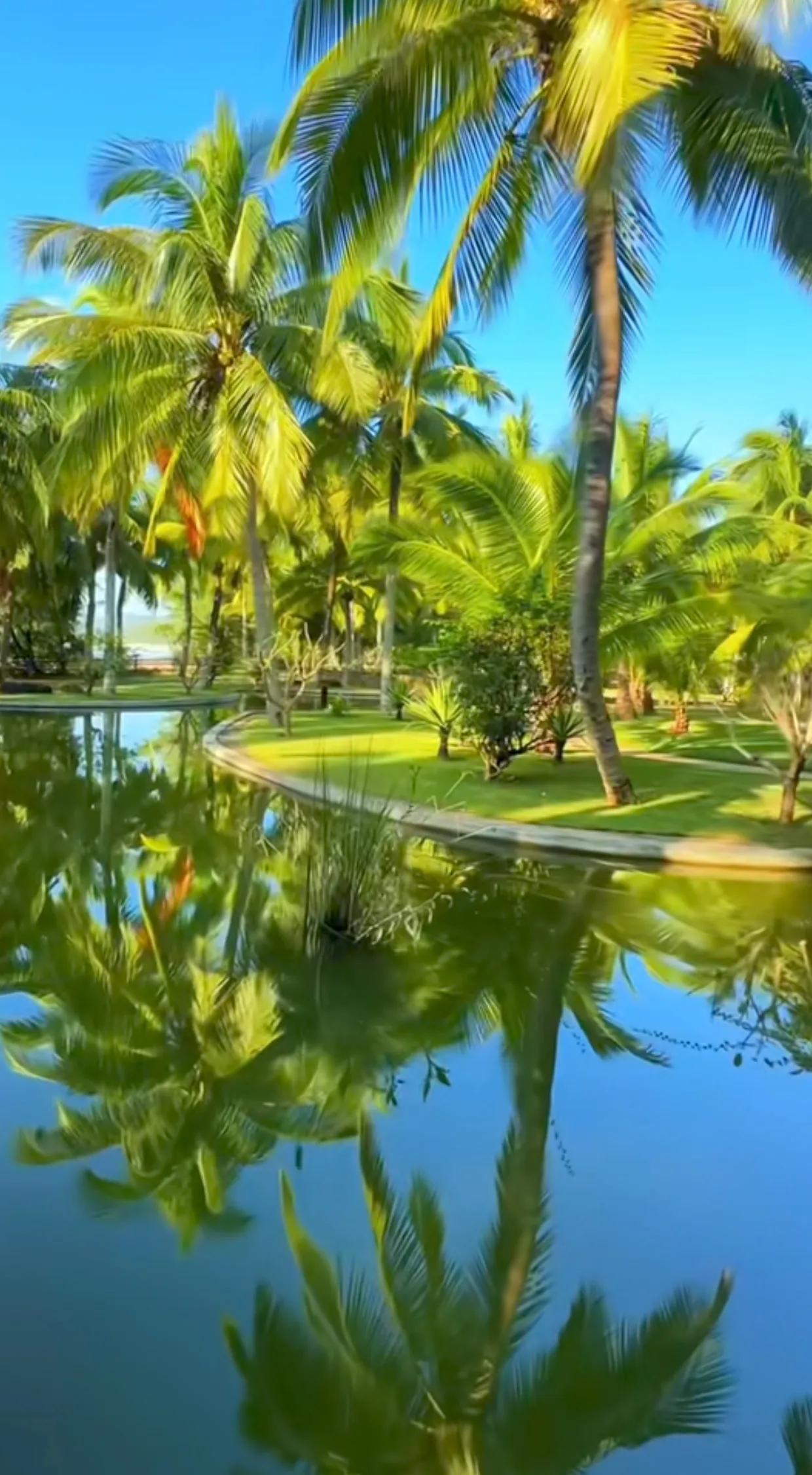 在海南三亚，体验治愈系的风景，让心灵得到宁静的滋养。悠闲的时光中，漫步于椰林沙滩