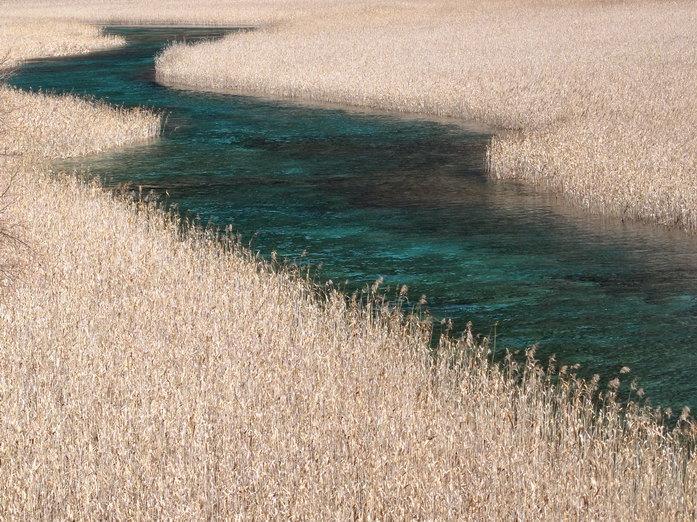 分享一张你最近随拍的照片