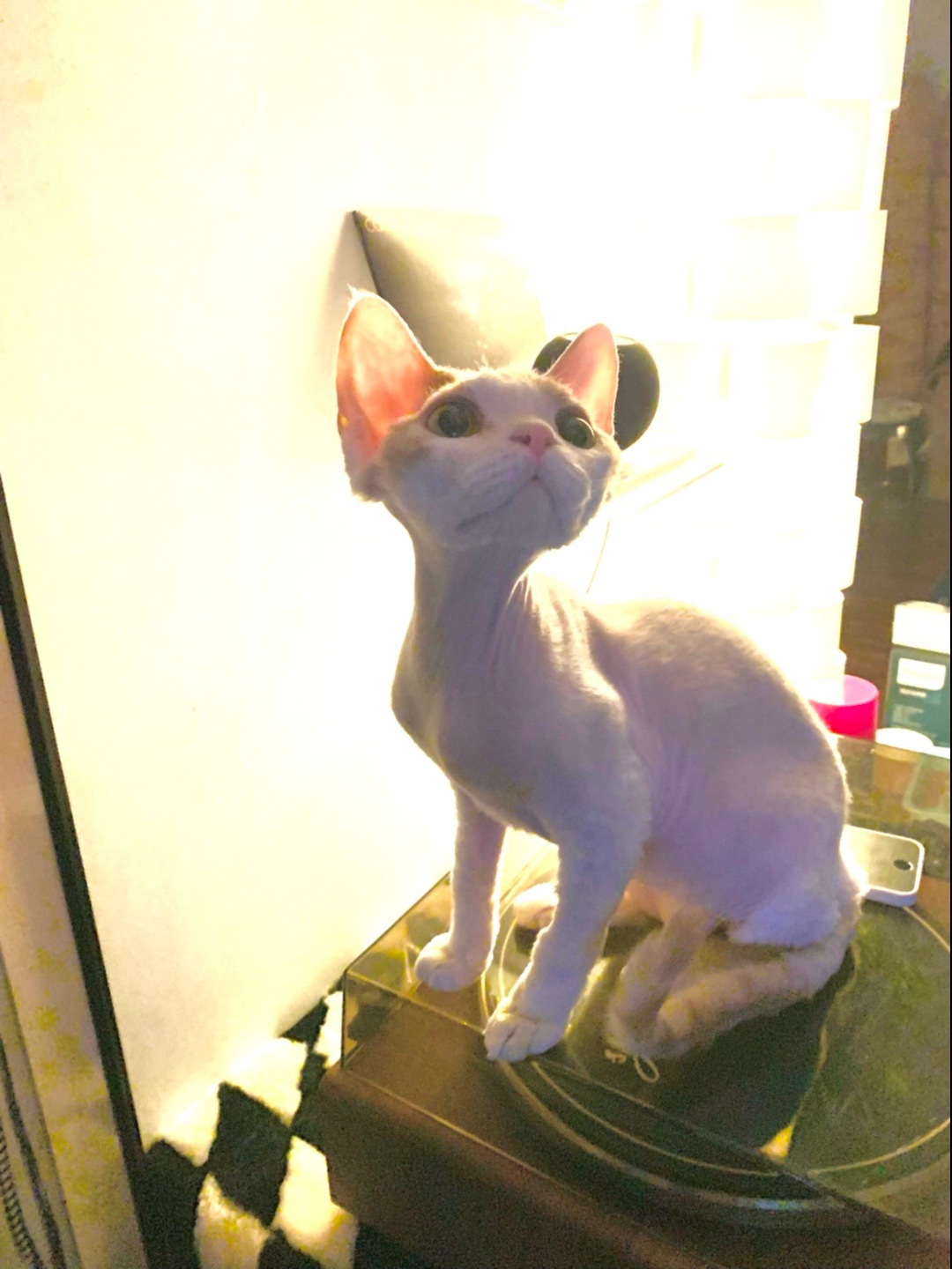 daily💚💛◞︎ᶫᵒᵛᵉ ♡ ​​​