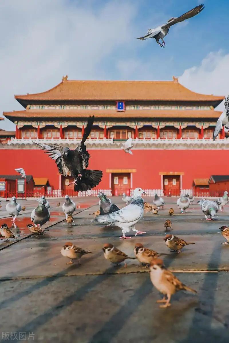 景区打工人郑国霖新增身份闯关人演员郑国霖为了送万元购物卡有多拼 惊！演员郑国霖跨