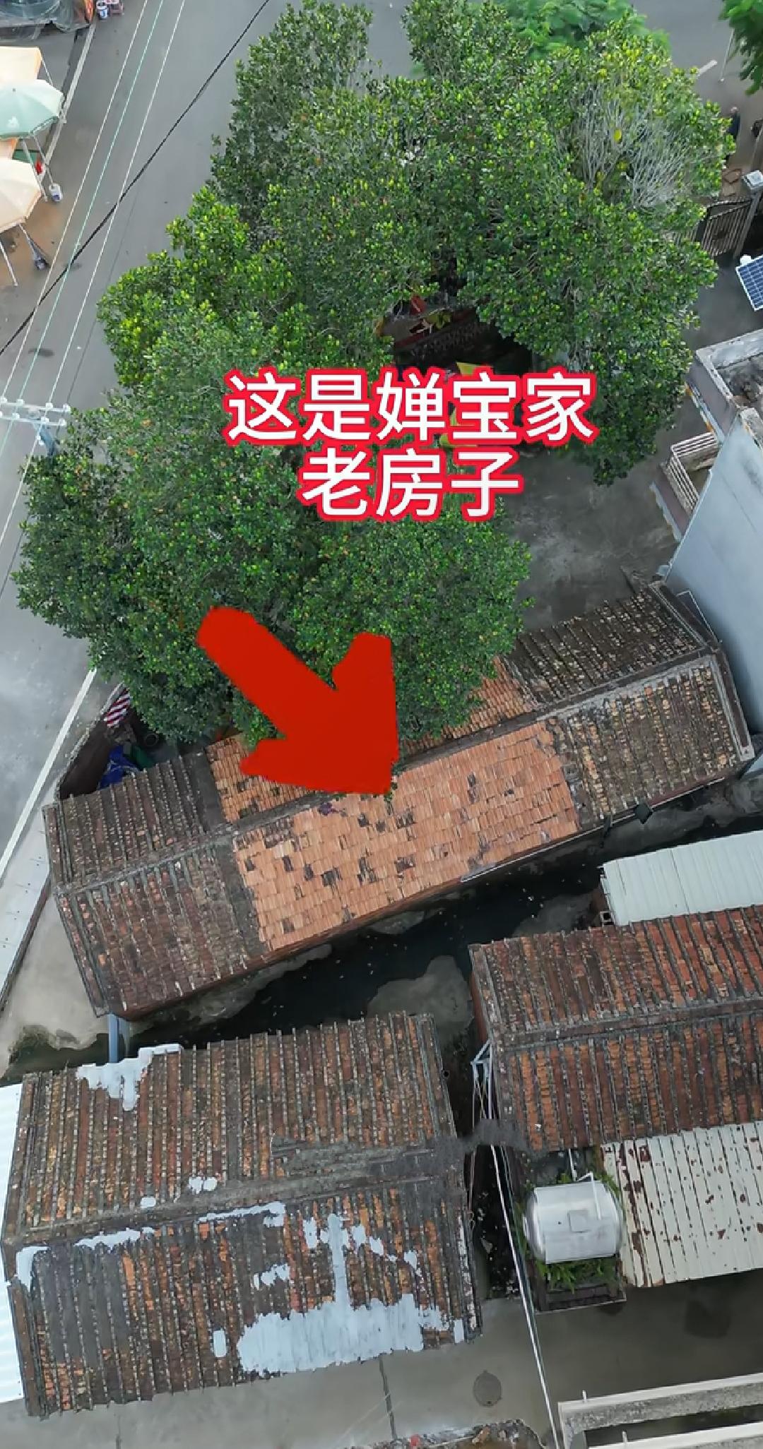 被喷半年“特权房”？全红婵家120平地皮的真相，比键盘侠想的更公道！
谁规定为国