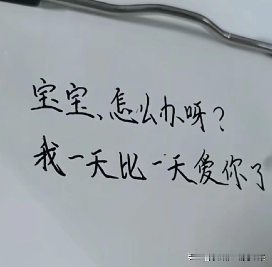 宝宝，怎么办呀
我一天比一天爱你了
我不会让你离开我
我会对全世界说
我这辈子非