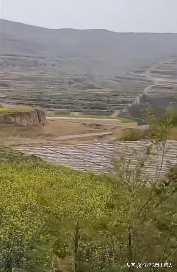 春风邀我去踏青，
山青水秀花儿红，
万物复苏喋蜂舞，
干里荫堤翠柳飘。