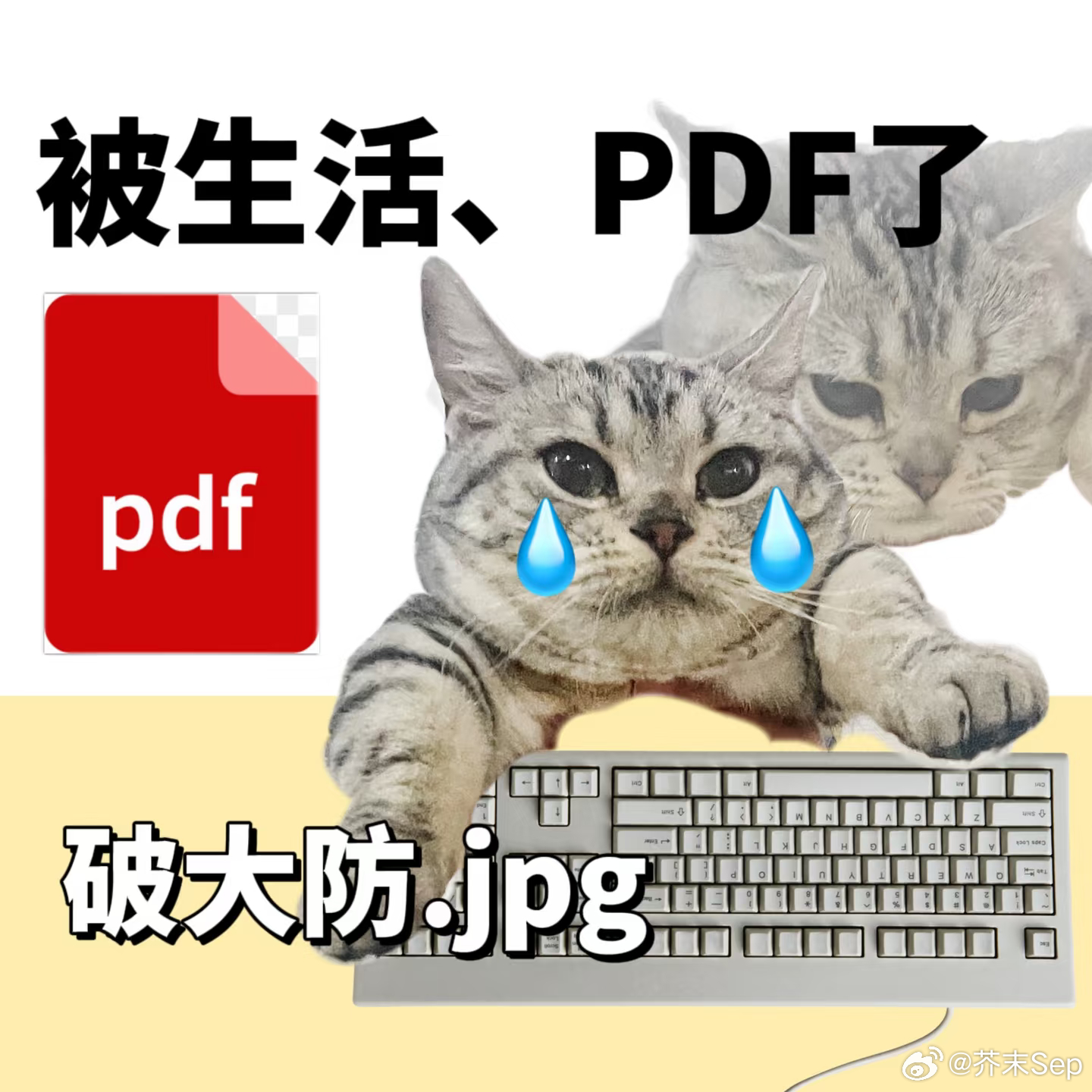 以前文件转格式借会员现在求豆包我以前为转个文档折腾到无语。找来的工具要么这不行那
