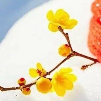 阳光信用  ❤️阳光信用 ❤️每日一善 一滴露珠滋润一份绿意，一抹阳光温暖一片天