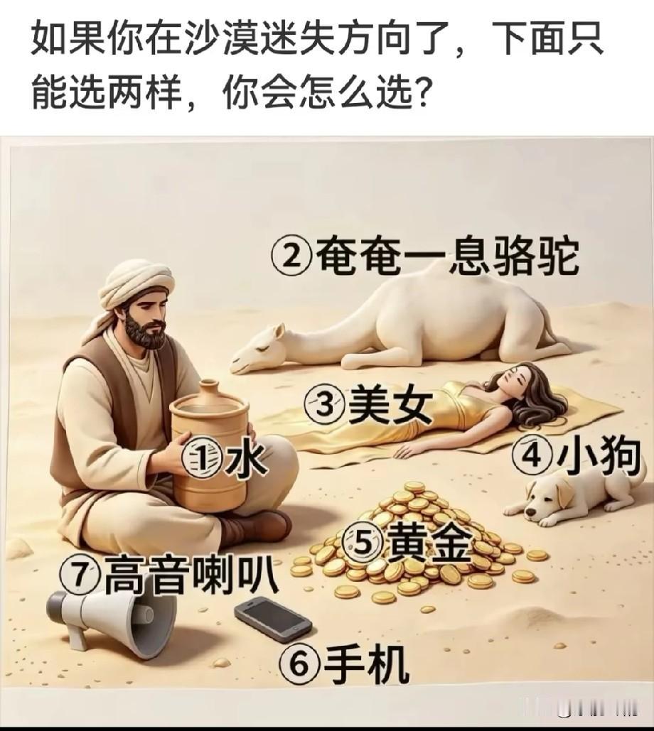 假如你在沙漠中迷失了方向。下图中你只能选择两样，你会选择哪两样？