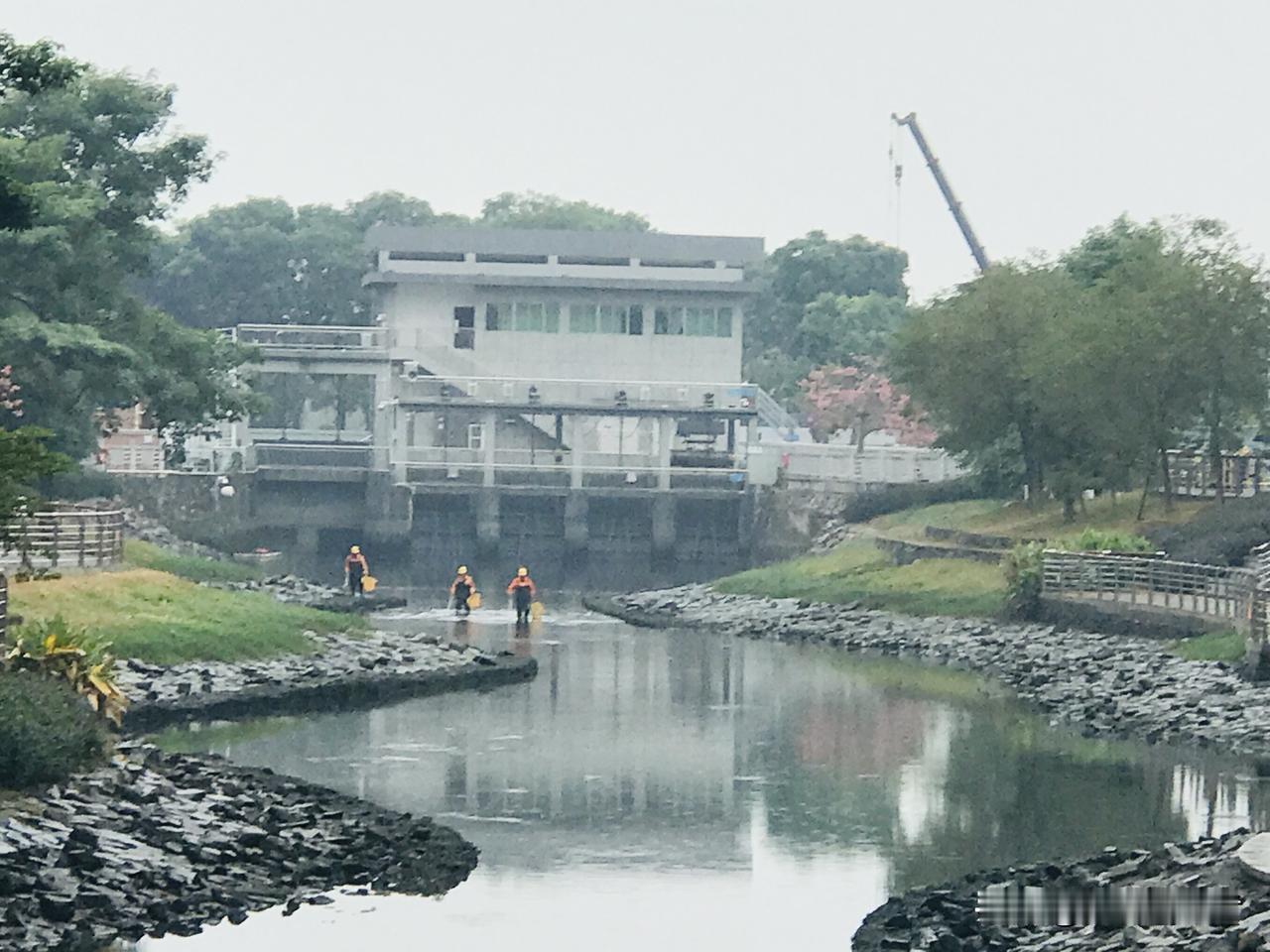 深圳突然降温，还飘起了小雨。经过这条河道时，看到三个工人在打捞浮渣，而那个水闸的