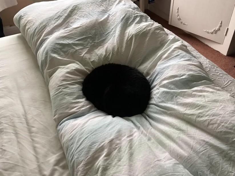 这到底怎回事？一名网友回家的时候发现床上竟然出现一个大黑洞，吓得他赶紧拍照起来给