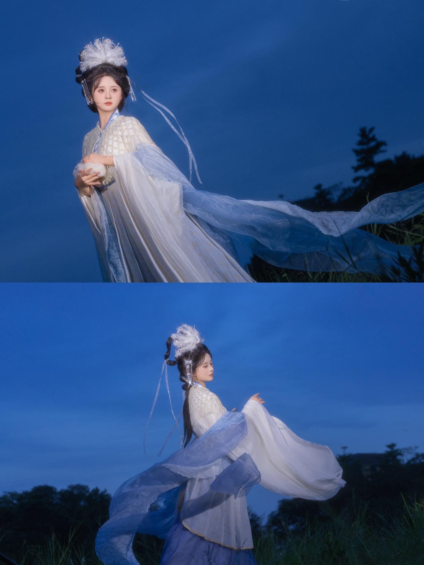 你似携月而来的仙瑶。