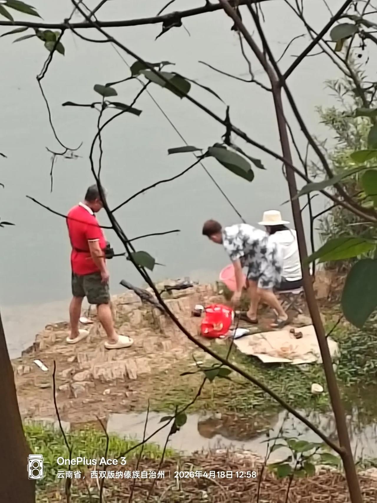 我老战友北京人漪滨不远万里，从英国伦敦来西双版纳看我来了。

50年前我16他1