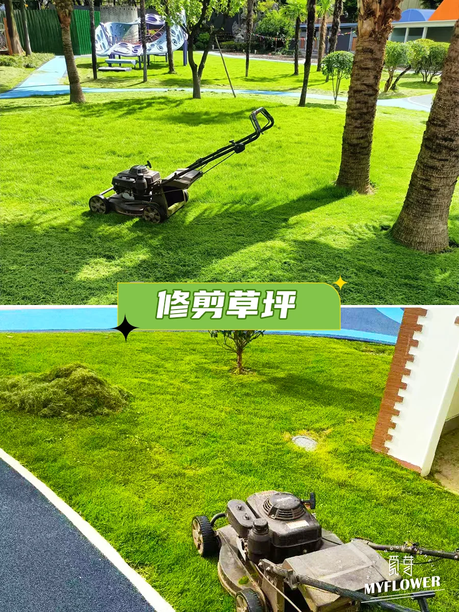 上海园林绿化养护｜花园一级养护标准