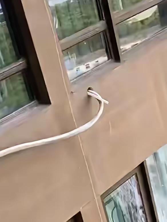 我准备跟邻居干架了！
我居住的楼层是十六楼，楼上住户在十七楼。随着气温持续攀升，