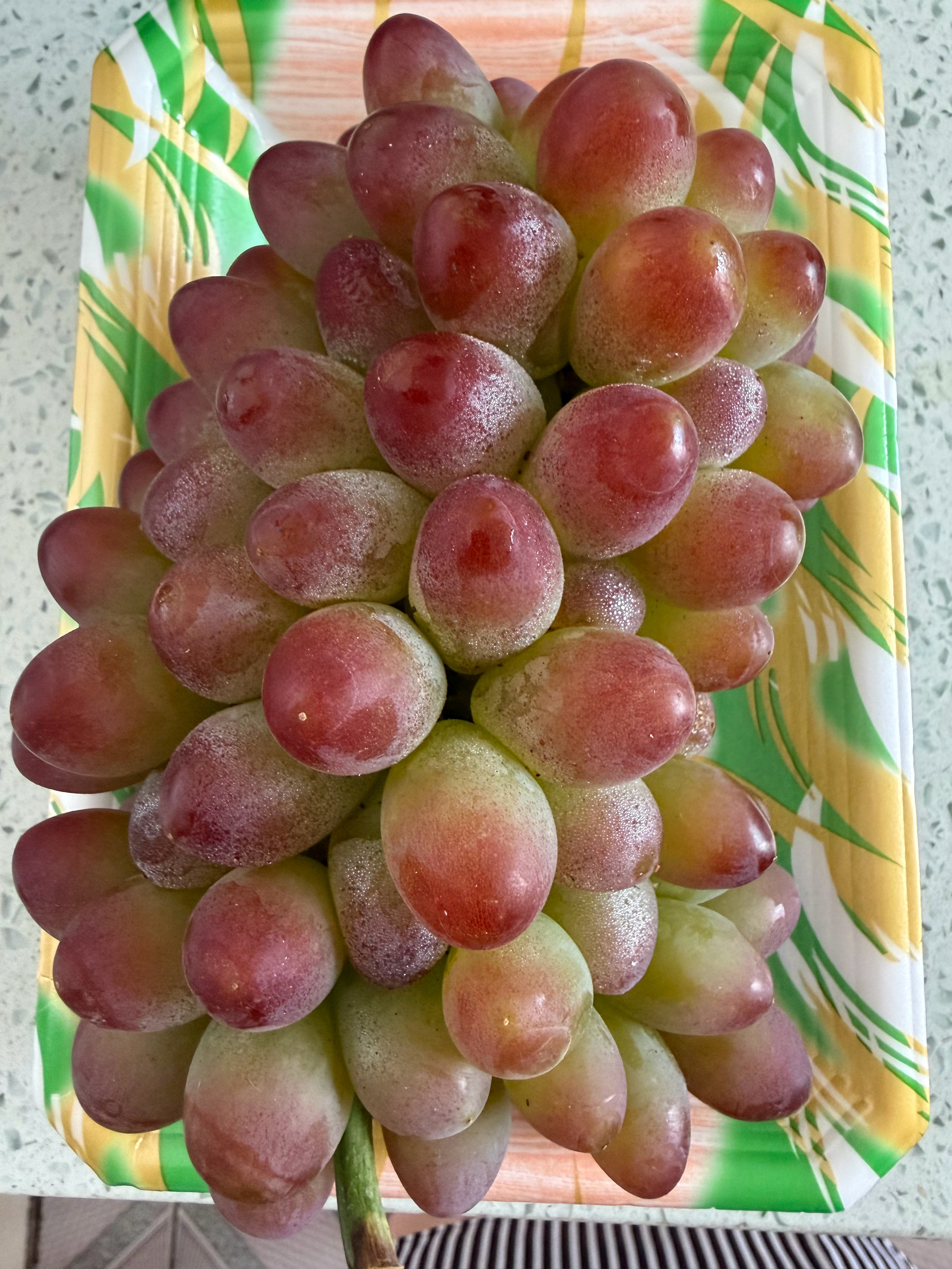 葡萄类的最喜欢吃的一款郁金香，香甜的一点都不酸～好吃😋 