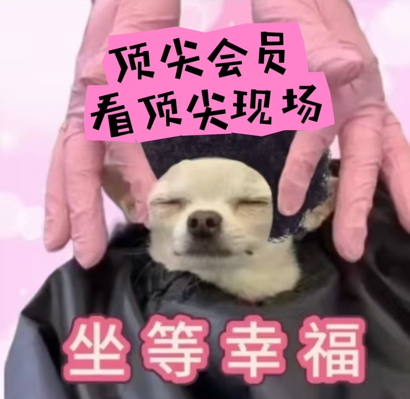 曝歌手2026首场9进7天天刷到歌手就想到这个活动，都做到这份地步了！搜歌手进惊