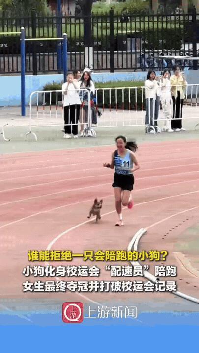 太暖心了，内蒙古，一女大学生参加3000米比赛，不料，她经常投喂的小狗突然闯入赛