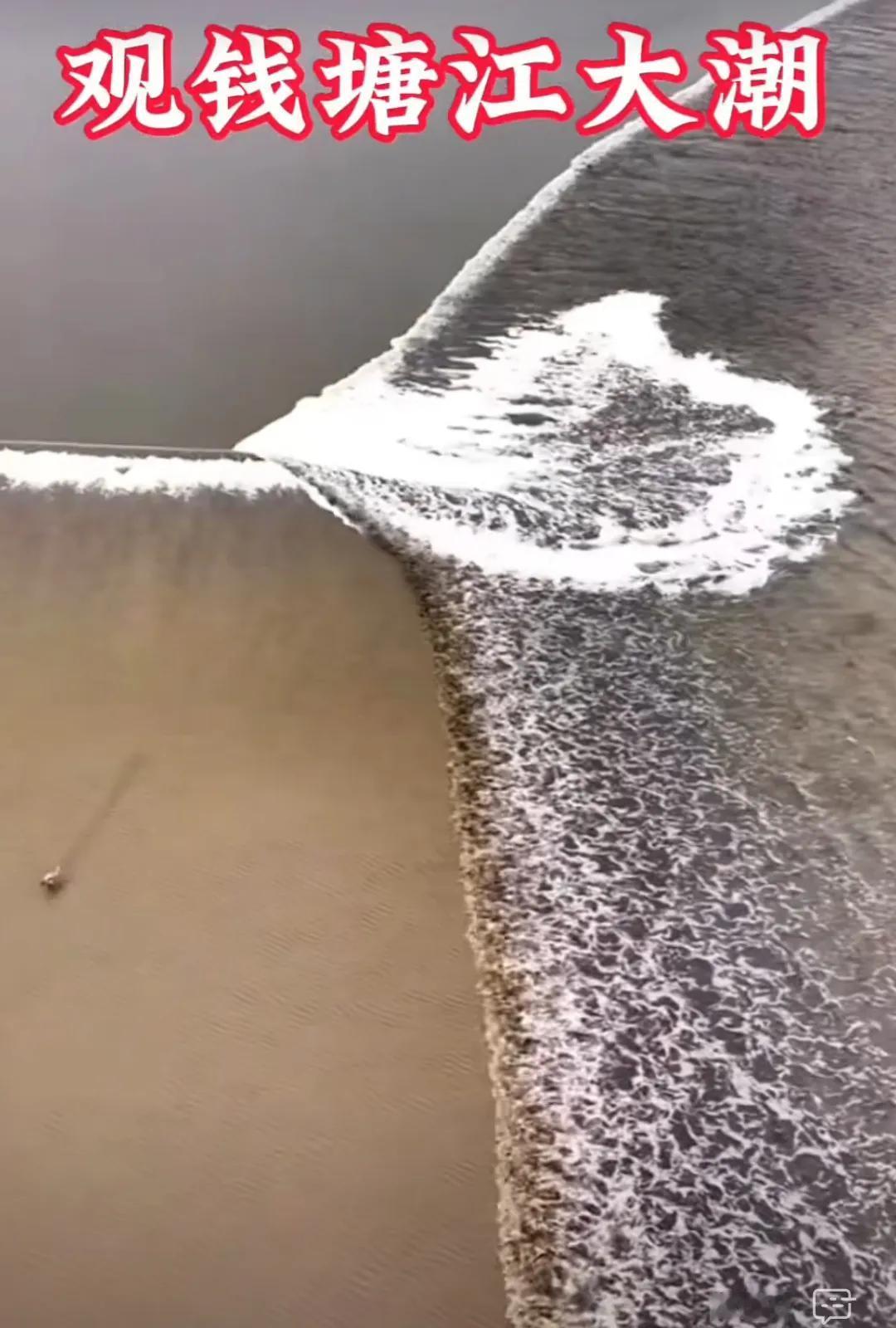 #上联，鸟去鸟归鸟有声。

下联#潮涨潮落潮无形。