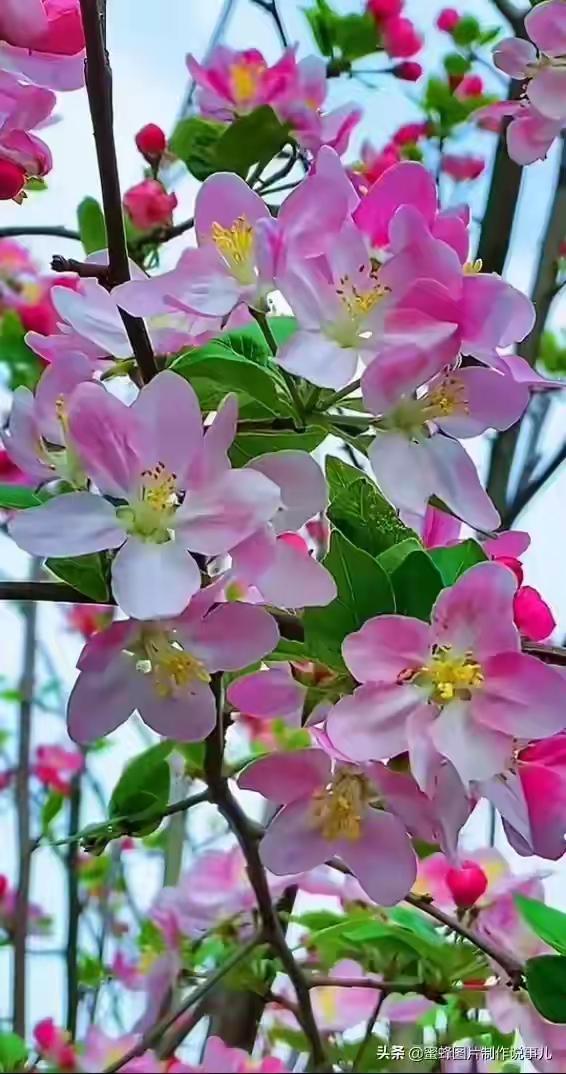 -0QGWDix0C5mA


冬天喝点酒、吃点辣可以祛寒御冷？| 健康辟谣集结