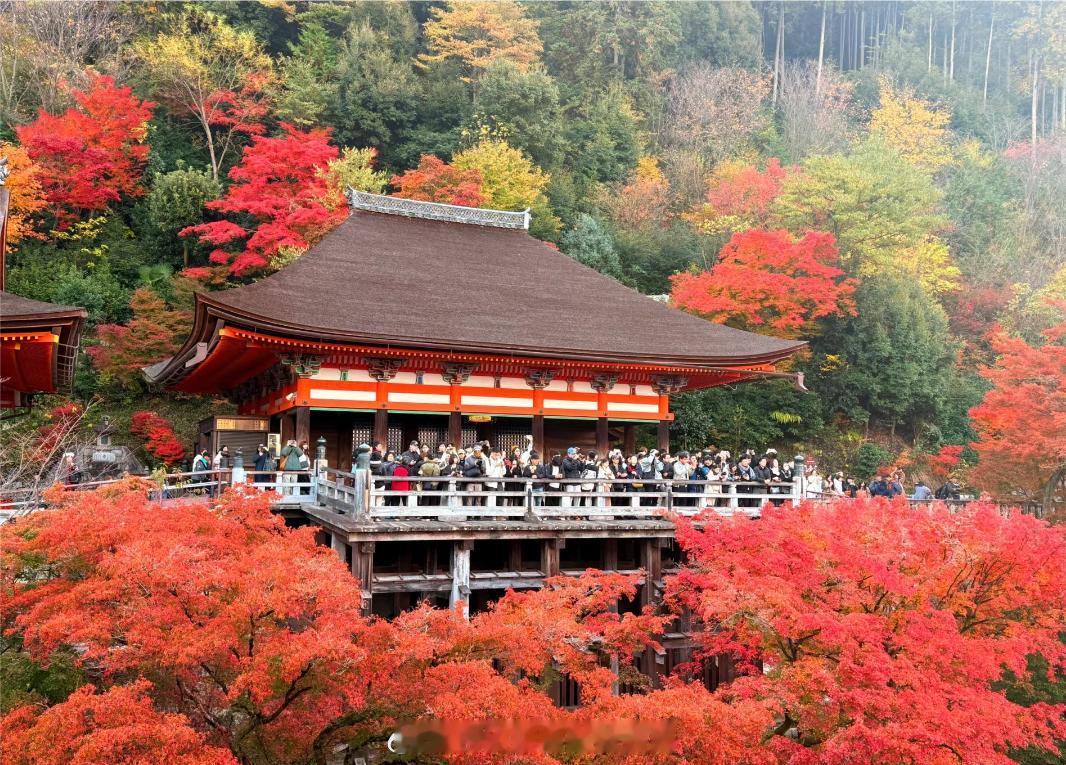 名侦探柯南 清水寺 实景 ！！！风景太美了！！！ 