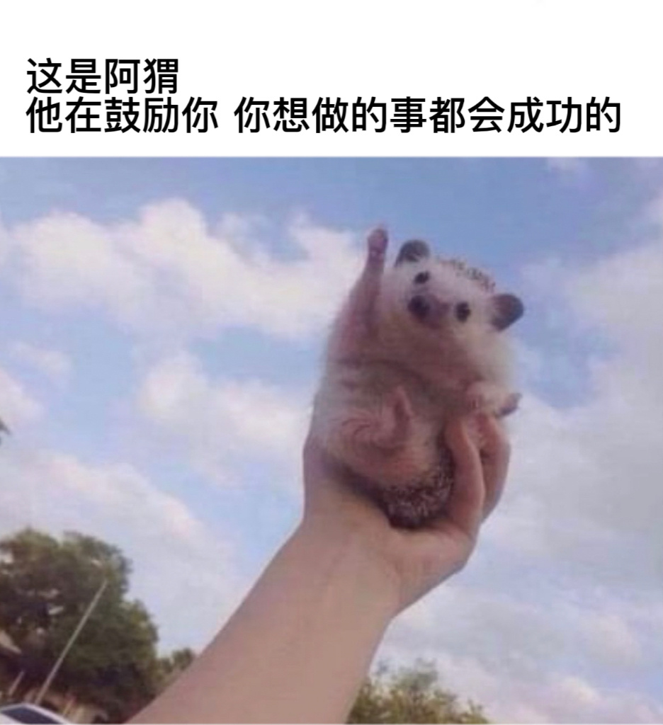 谢谢阿猬#今日memes##趣过夏天# ​​​
