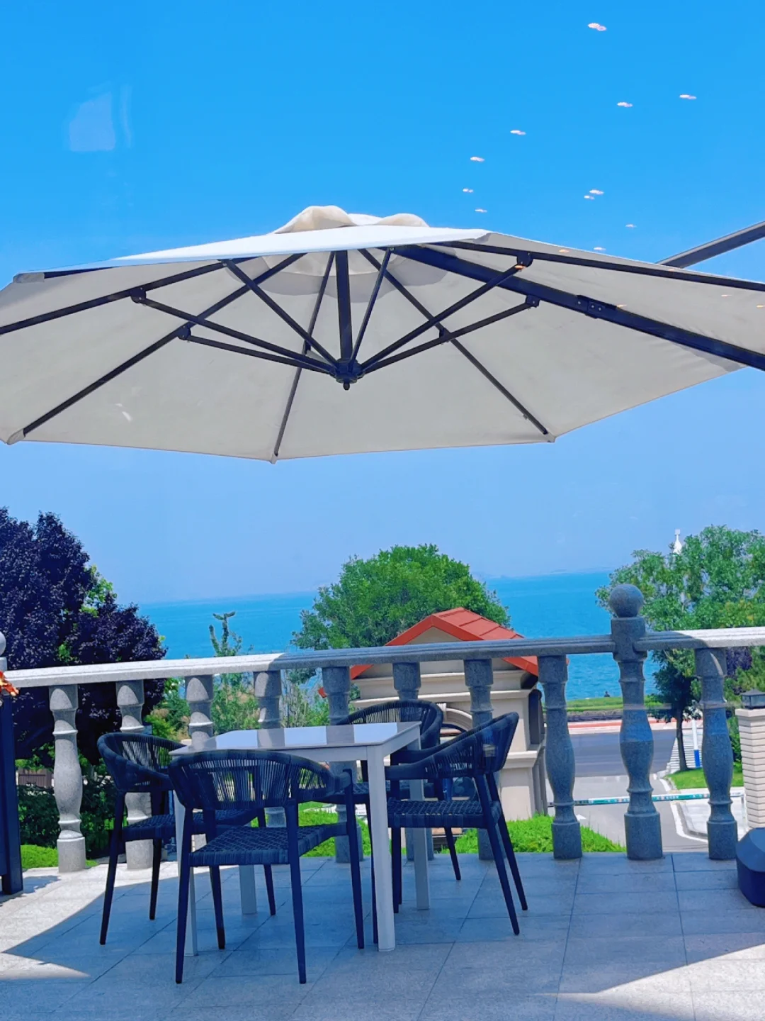 站在属于自己的高度 看自己该看的风景🌲