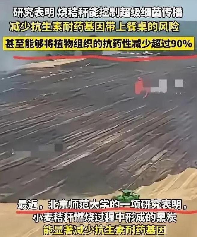 谁能想到？过去因“制造雾霾”被各地严令禁止、农民烧了就要挨罚的秸秆焚烧，如今竟爆