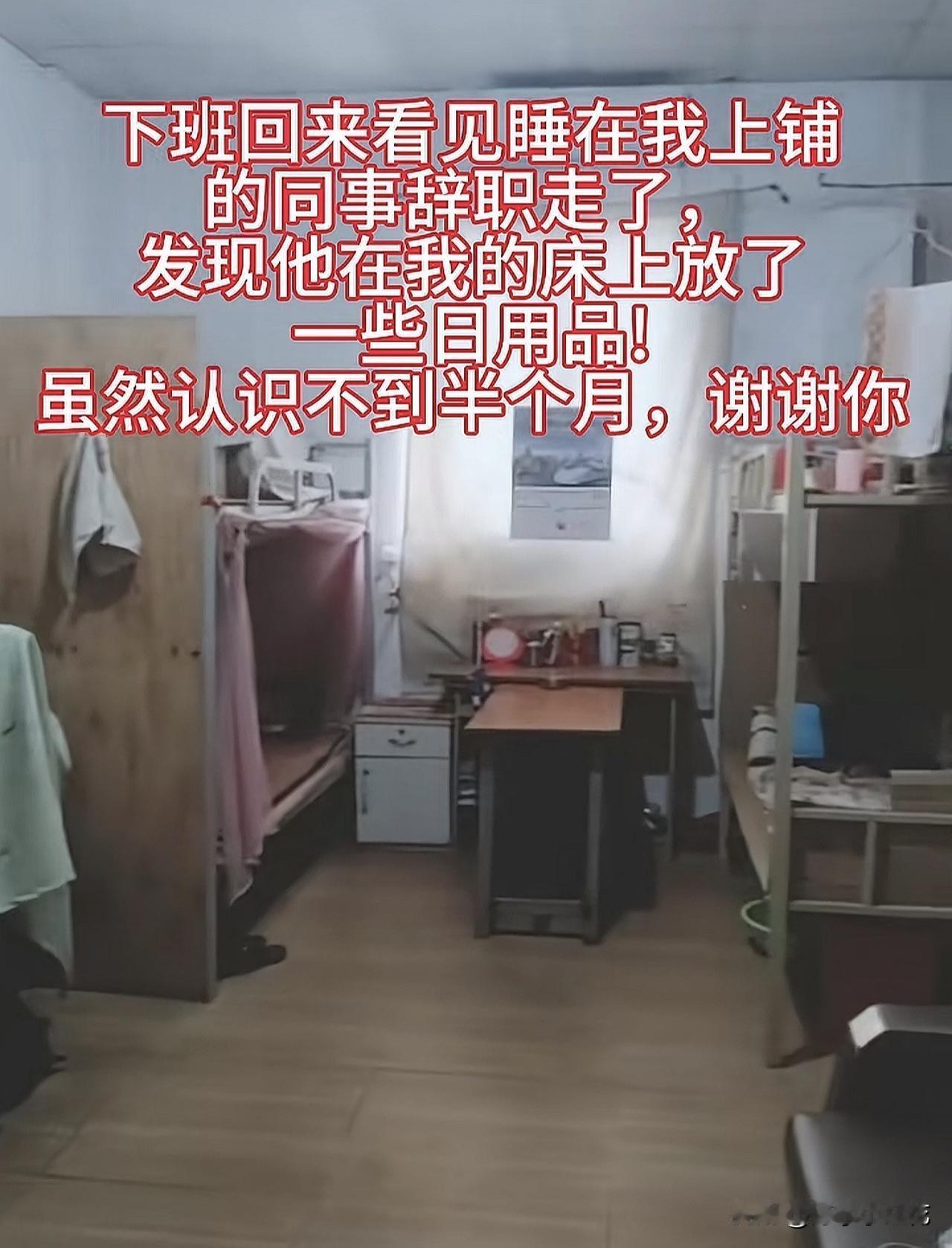 同事辞职了我心里都会难受，不是跟他关系多好，是因为每天都会见到的一个人突然觉得这