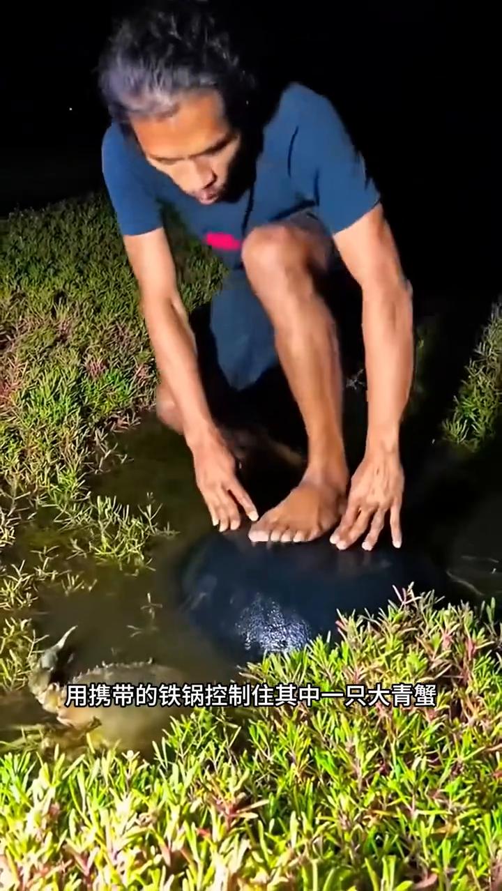 注意看，渔民深夜出门觅食，发现两只大青蟹，于是立马上前用携带的铁锅控制住其中一只