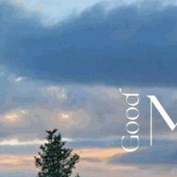 别让“上进心”变成了你的慢性焦虑。日子不需要时刻都在拔节生长。在泥泞里停下来洗洗